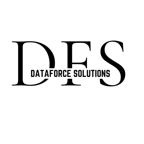 DataForceSolution Logo